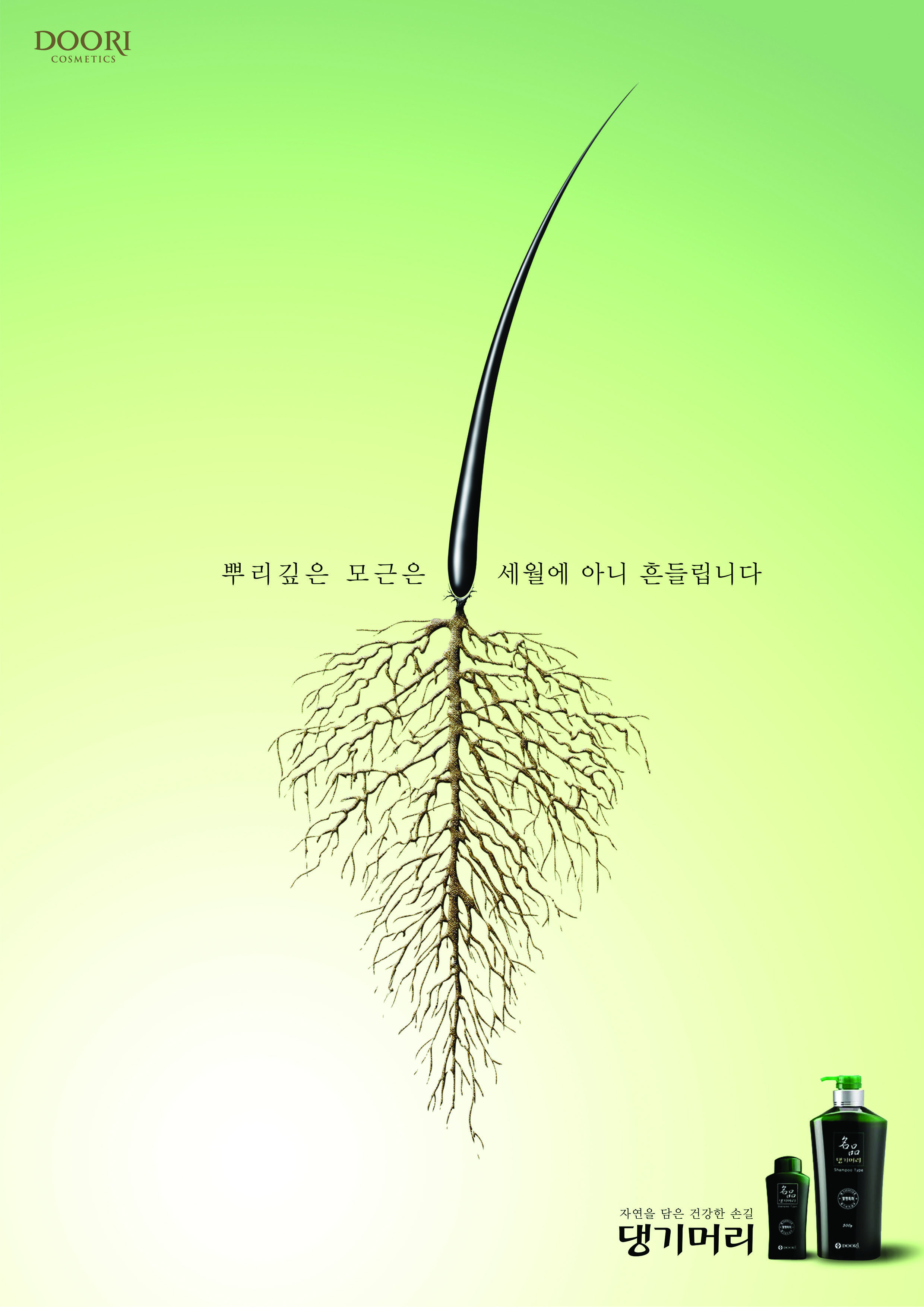작품이미지